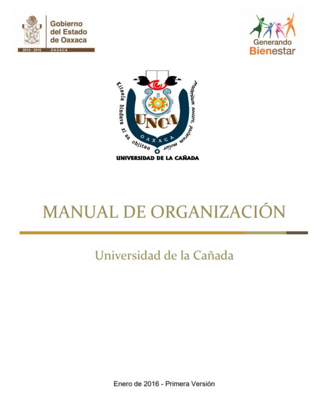 Manual de organización de una empresa objetivo estructura ejemplo