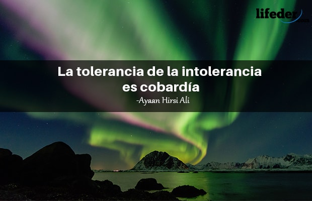 Las Mejores Frases Sobre La Tolerancia