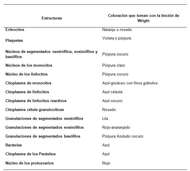 Tinción de Wright qué es fundamento componentes técnicas usos