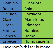 Taxonomía Qué es definición y concepto 2022