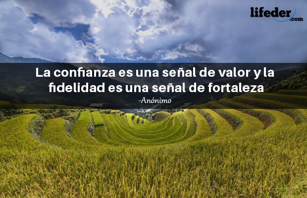 Las 70 Mejores Frases De Fidelidad