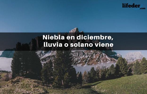 59 Frases De Diciembre Bonitas Y Cortas 