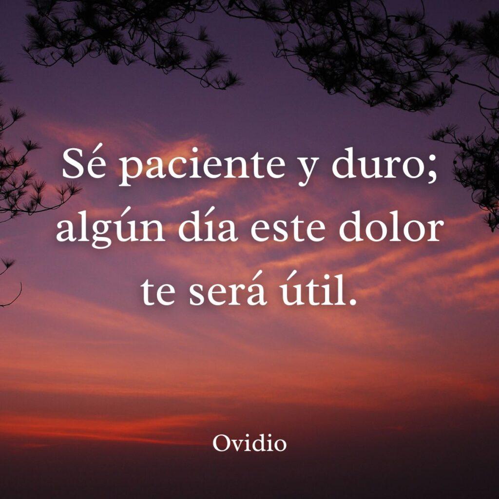 100 Frases De Dolor 3684