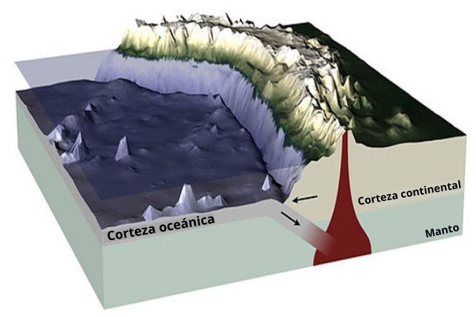 Relieve oceánico: qué es, características, partes, tipos