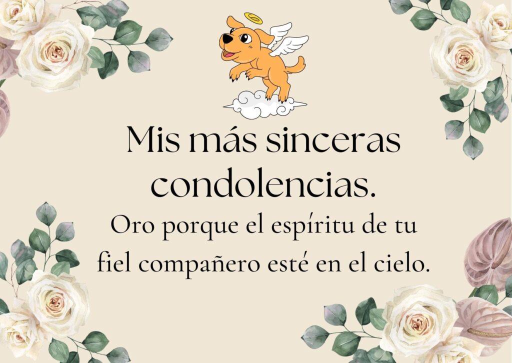 100+ Frases De Condolencias Por Una Perdida (cortas)