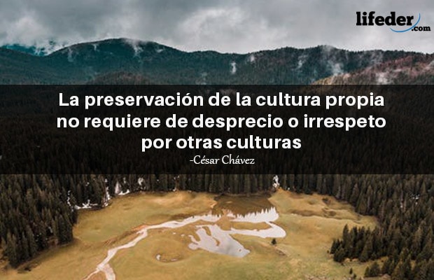 Las 100 Mejores Frases Sobre La Cultura 2972