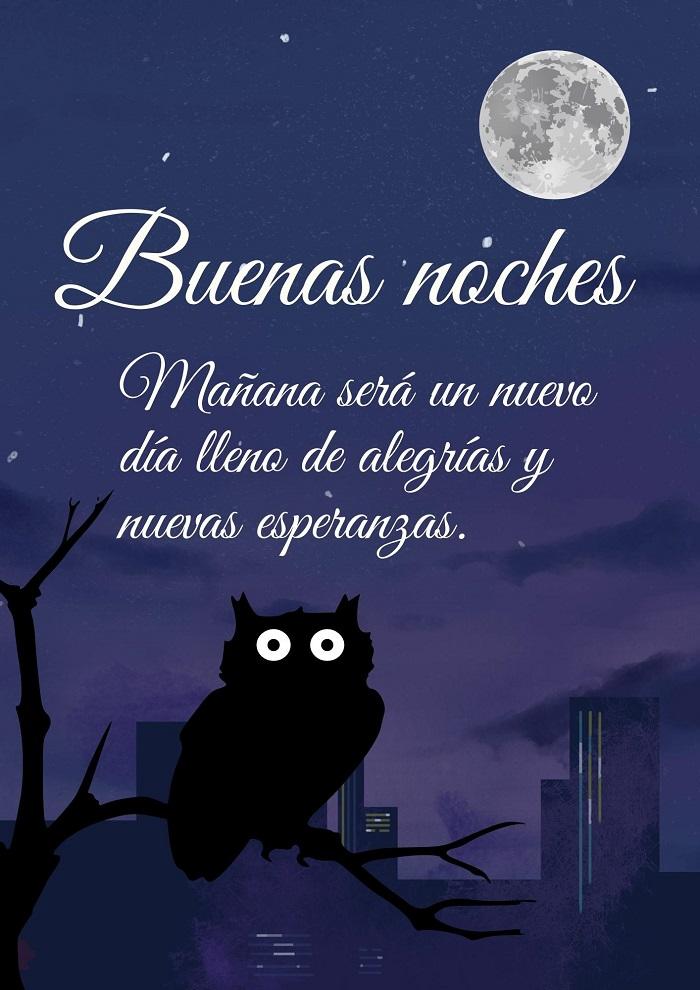 100+ Frases De Buenas Noches Con Imágenes