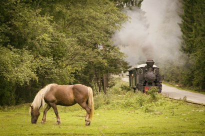 Definición De Caballo De Vapor » Concepto En Definición